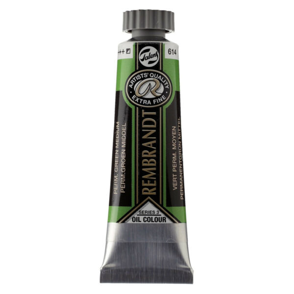 Rembrandt Oil Colour 40 ml PERMANENT GREEN M 614